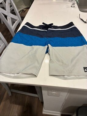 Quiksilver Men's Navy, Royal Blue & Light Gray Striped Boardshorts